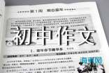 班长初中作文