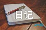 小学二年级日记日记